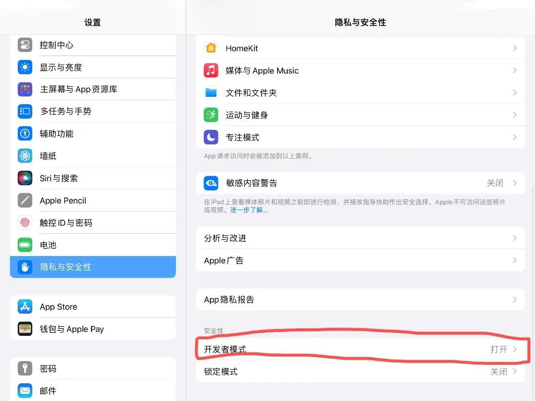 Enable Developer Mode
